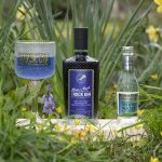 Exploring the Origins: A Deep Dive into the History of Blue Gin