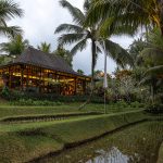 Chapung Sebali: Serenity and Gastronomy in Bali’s Cultural Capital