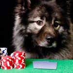 177 Years Since the Birth of Kash Coolidge, Dogs Playing Poker Remains Iconic